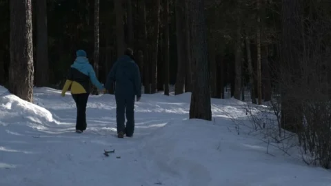 The lovers go deep into the winter forest Vidéo 170480883