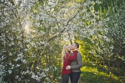 Lovers hugging on the background of flowering trees 1453. Stock Photos