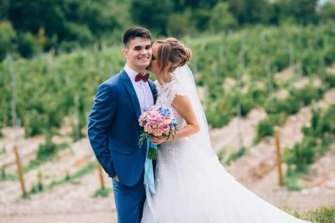 Lovers just got married and walk among the grape fields. The girl cuddles up to Stock Photos