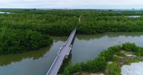 Lovers Key State Park Black Island, Inner and Long Key Florida USA Stock Footage 77024141