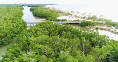 Lovers Key State Park Black Island, Inner and Long Key Florida USA Stock Footage 77024252