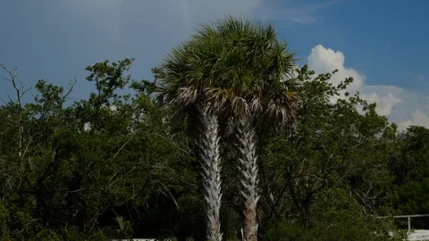Lovers Key State Park, Florida, United States. 스톡 동영상 115737632