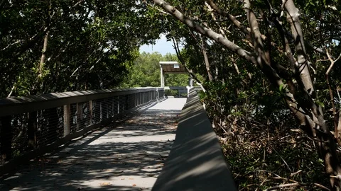 Lovers Key State Park, Florida, United States. 스톡 동영상 115738232