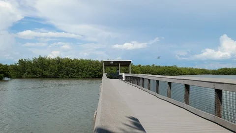 Lovers Key State Park, Florida, United States. 스톡 동영상 115738348