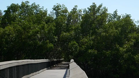 Lovers Key State Park, Florida, United States. 스톡 동영상 115738798