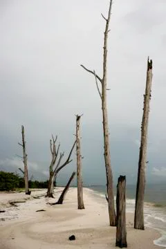 Lovers Key State Park Stock Photos