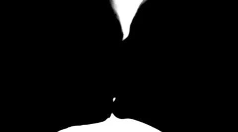 Lovers kissing Stock Footage 10798654