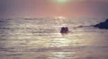 Lovers kissing in the sea at sunset - love - man and woman kiss HD Footage