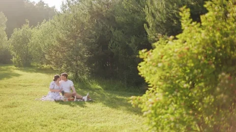 Lovers look at photos while relaxing on a picnic Stock Footage 250484427