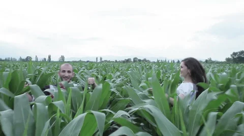 Lovers run accross the cornfield Stock Footage 57649139