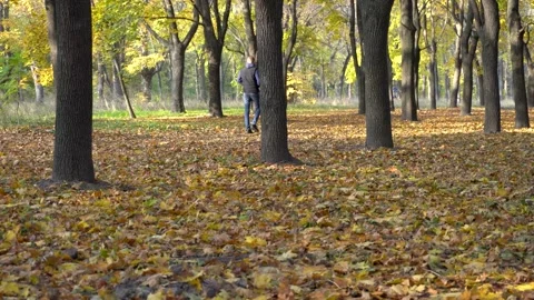 Lovers walk in the autumn forest. Stock Footage 166060662
