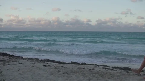 Lovers walk on the beach along the ocean Stock Footage 122453928