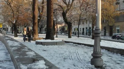 Lovers walking on snowy road Stock-Footage 10772913