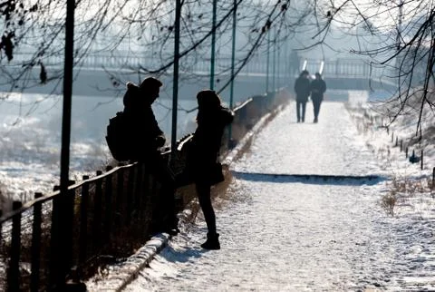 Lovers in the winter park Stock Photos