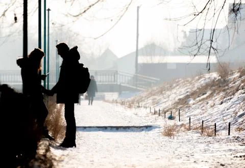 Lovers in the winter park Stock Photos