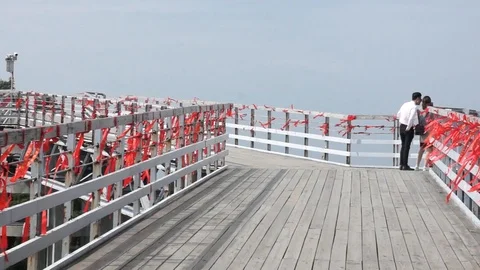 Lovers123 Stock Footage 103079203