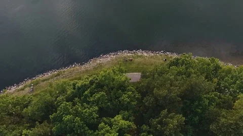 Lovestory in the nature Video stock 84772589