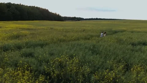 Lovestory in the nature Video stock 84773107