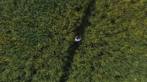 Lovestory in the nature Video stock 84773373