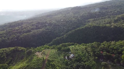 Lovina hillside forward Stock Footage 329895765