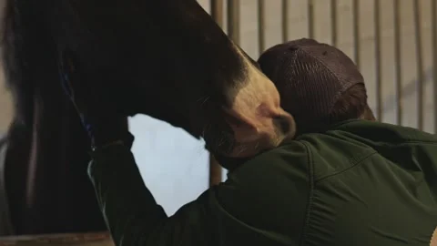 Loving bond between a man and his horse shown through a tender hug inside a Stock Footage 332339890
