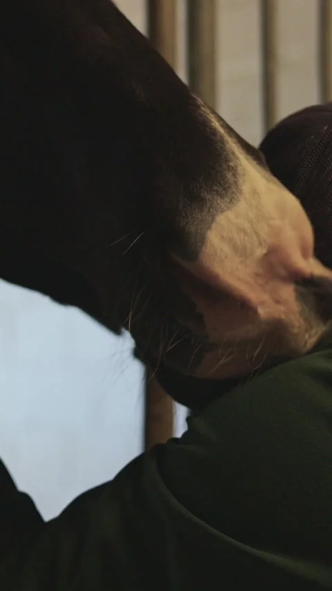 Loving bond between a man and his horse shown through a tender hug Video stock 332505526