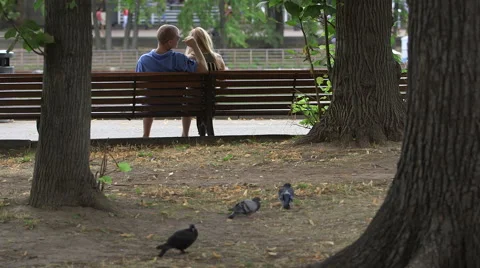 Loving couple on a bench Stock Footage 41155168