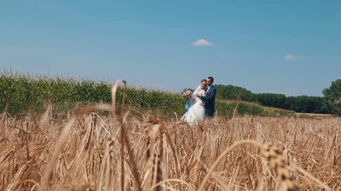Loving couple on eared field Stock Footage 82463149