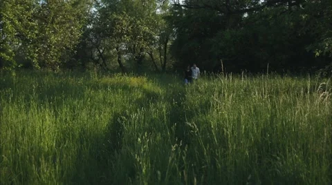 Loving Couple is in a Field Stock Footage 50917861