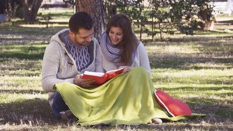 Loving couple reading a book Stock Footage 73096996