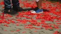 Loving couple slowly walking along road with rose petals throwing them with feet HD Footage