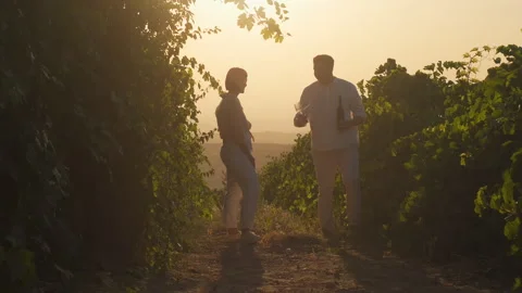 Loving couple in vineyards with wine and glasses celebrating anniversary, having Stock Footage 286106916