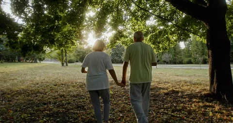 Loving elderly couple walking hand in hand under the trees in a park viewed from Vídeo Stock 128968243