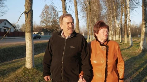 Loving elderly couple walking in the park at sunset. Nearby there is a road. A Stock Footage 75041863