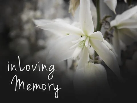 In Loving Memory Funeral Image Stock Photos