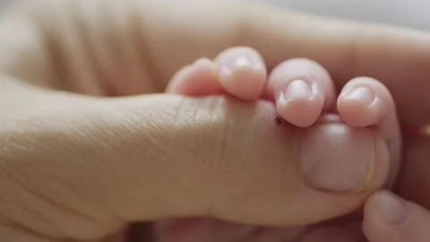 Loving mother holds the tiny hand of her baby. Close-up of newborn baby's fin Stock Footage 164520754