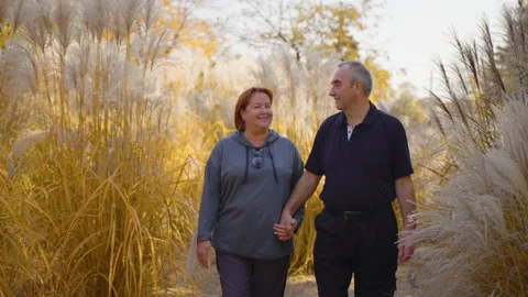 Loving old couple walking talking outdoors in park. Stock Footage 164248618