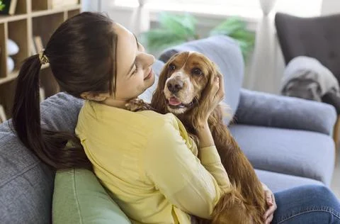Loving Owner Hugging Cocker Spaniel at Home on Sofa, Cozy Pet Companionship Stock Photos