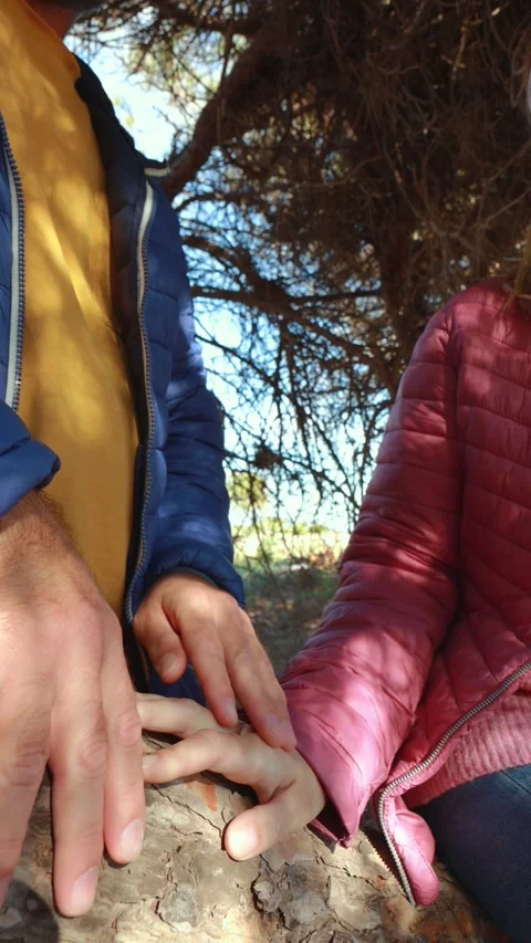 Loving pair perching on fallen log, intertwining hands, embracing woodland .. Stock Footage 305403209