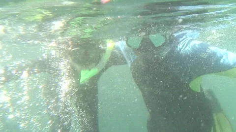 Loving Snorklers Stock Footage