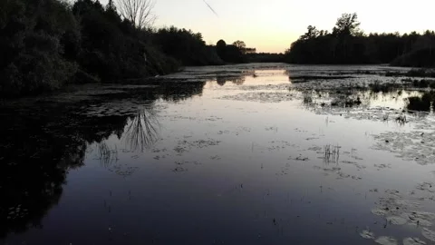 Low Across A Pond At Sunset Video stock 141150272