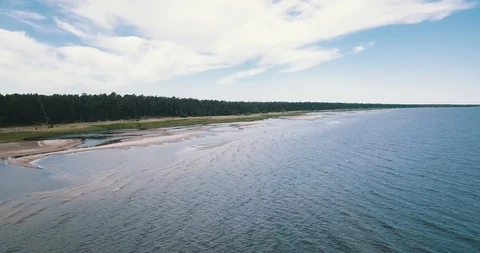 Low aerial camera flies toward pine forest Stock Footage 90758287