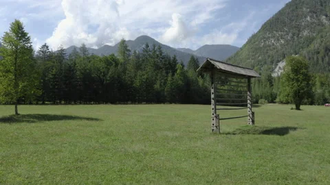 Low aerial drone flight next to hayrack over meadow towards coniferous forest. Video stock 217374605