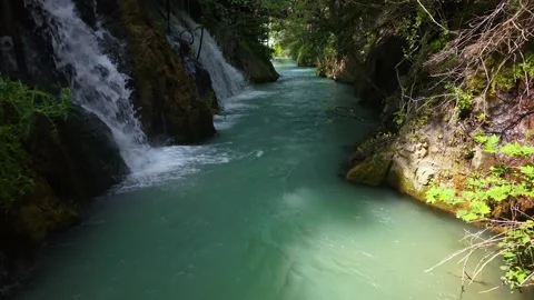 Low Aerial Flight Beneath Forest Canopy Along Crystal Clear Stream Stock Footage 340157705