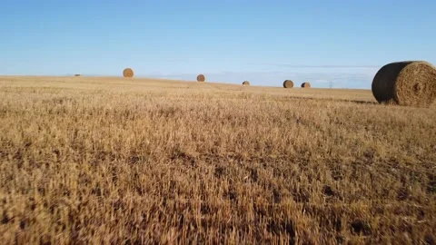 Low aerial flight over the Canadian prairies with round hay bales in Alberta. Stock Footage