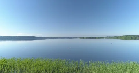 Low aerial flight over the edge of tranquil lake with lone swan in the middle Stock Footage 90954885