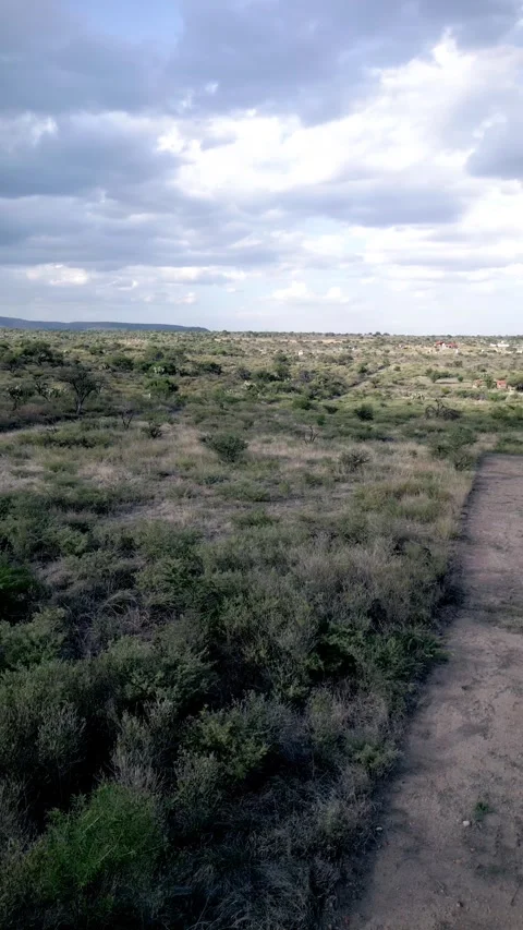 Low aerial flight over eroded scrubland gullies Stock-Footage 342061378