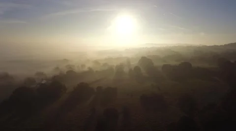 Low aerial flight over fields at sunrise. Stock Footage 68900306