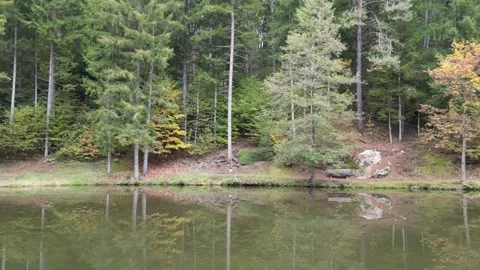 Low Aerial Flight Over a Forest Lake in Carinthia, Austria Stock Footage 288038111