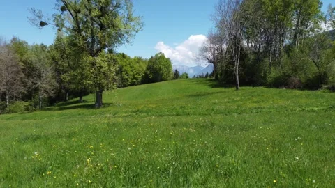 Low aerial flight over green meadow in the French Alps Stock Footage 346698091